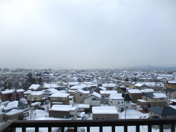 森林公園パークハウス西五番街C棟 住戸からの眺望写真 