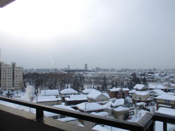 森林公園パークハウス西五番街C棟 住戸からの眺望写真 