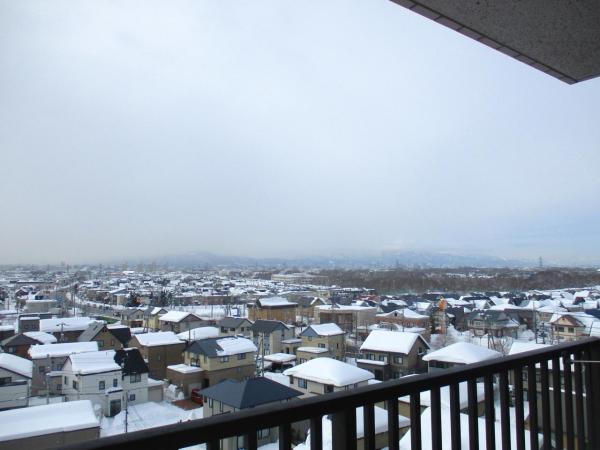森林公園パークハウス西五番街C棟 住戸からの眺望写真 