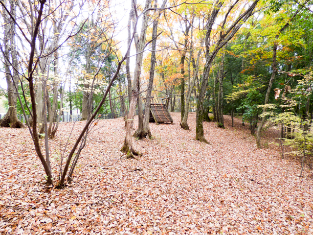 八国公園