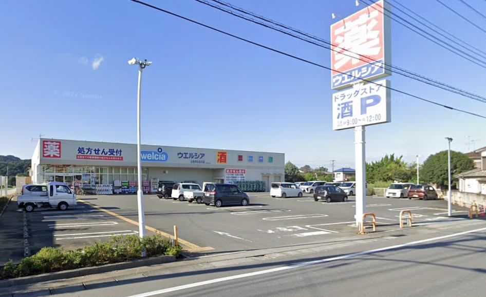 ウエルシアときがわ玉川店 (調剤薬局)