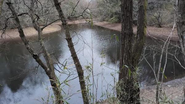 伊古の大沼(日本農業遺産)