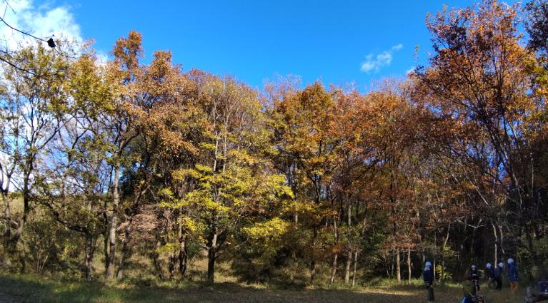 嵐山ふれあいの森