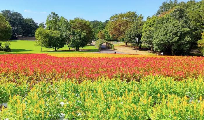 森林公園 西口ひろば