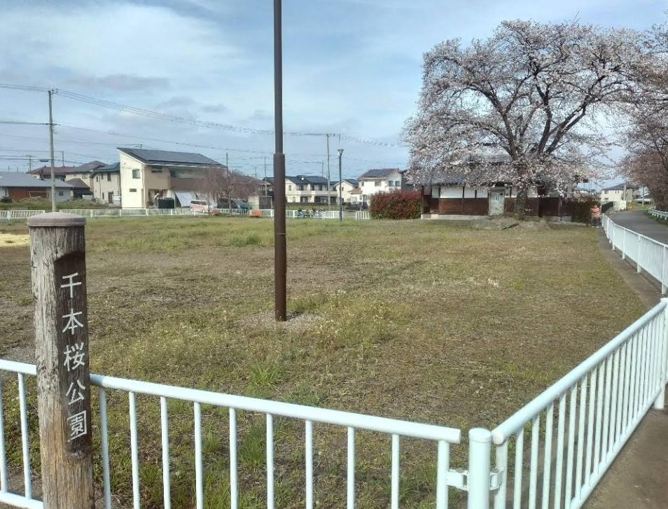 千本桜公園
