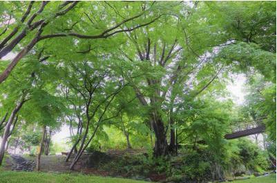 雀宮公園