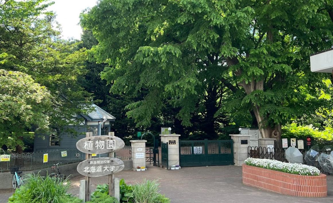 北海道大学 植物園