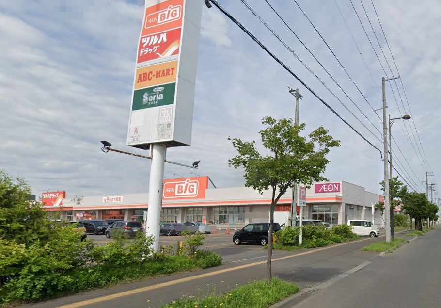 ザ・ビッグ東雁来店