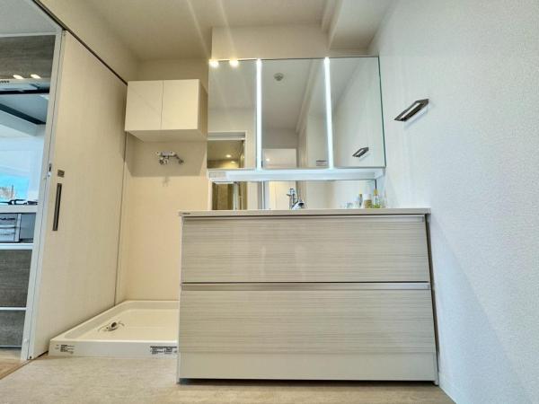 中古マンション 札幌市中央区大通東９丁目 札幌市東西線バスセンター前駅 4,390万円
