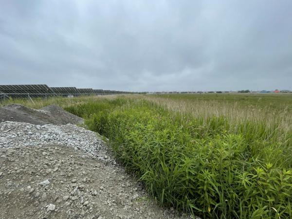 愛国東191　調整区域　売地 現地土地写真 