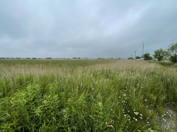 愛国東191　調整区域　売地 現地土地写真 