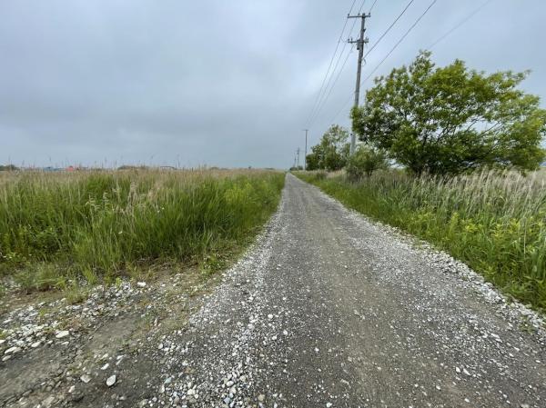 愛国東191　調整区域　売地 前面道路含む現地写真 
