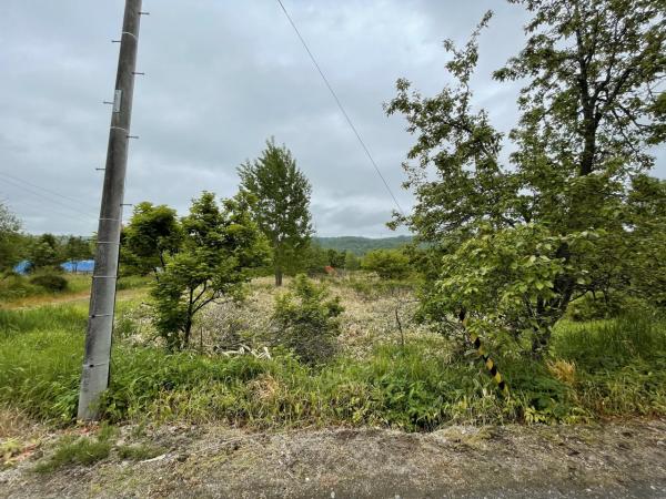 土地 釧路市阿寒町西阿寒１７線  50万円