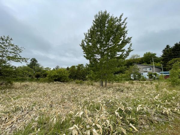 土地 釧路市阿寒町西阿寒１７線  50万円