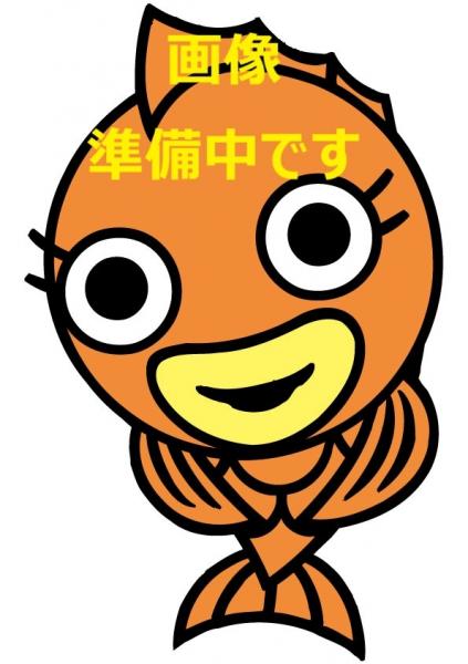 中古戸建 八戸市下長４丁目10-34 JR八戸線長苗代駅 550万円