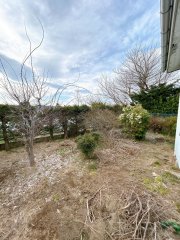 三戸郡五戸町字古舘向 現況写真