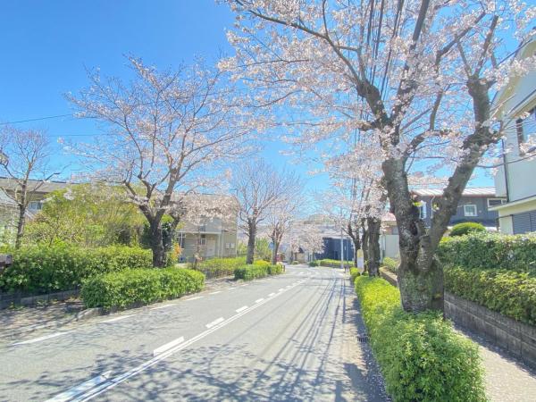 土地 伊勢原市大住台１丁目13-9 小田急線鶴巻温泉駅 1,980万円